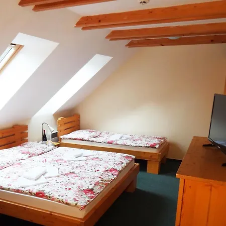 Penzión pre hostí Bystrinka