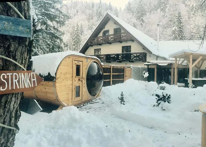 Guest house Bystrinka 2*